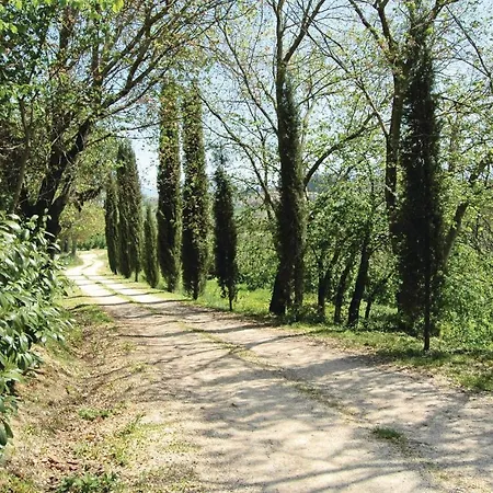 Vigna D Daire Bevagna